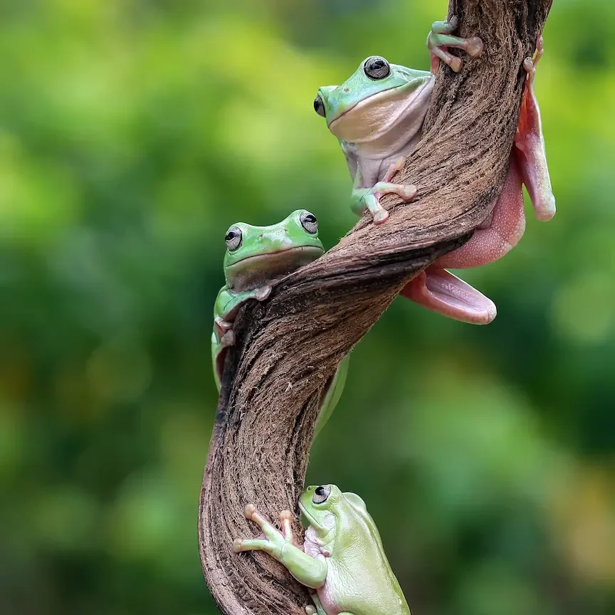 Protection biodiversité Docks du Bureau Agencement