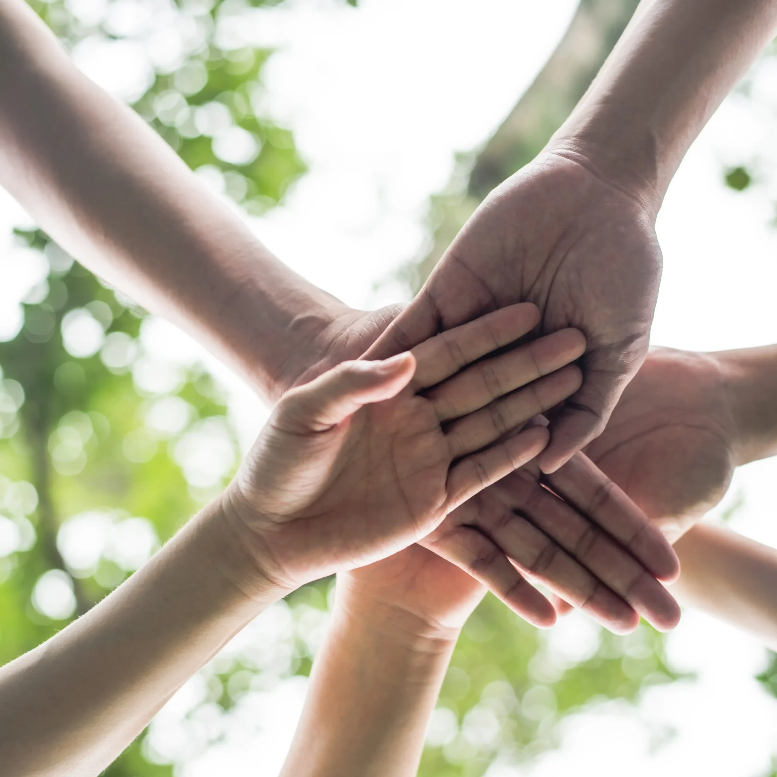 Engagement social Docks du Bureau Agencement