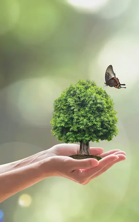 Engagement RSE Docks du Bureau Agencement